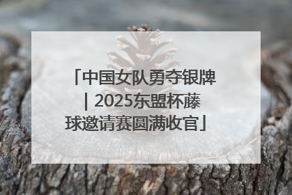中国女队勇夺银牌｜2025东盟杯藤球邀请赛圆满收官