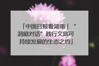 中国日报看湖南｜“洞庭对话”践行文旅可持续发展的生态之约