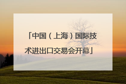 中国（上海）国际技术进出口交易会开幕