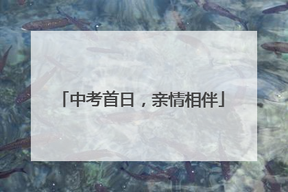 中考首日，亲情相伴