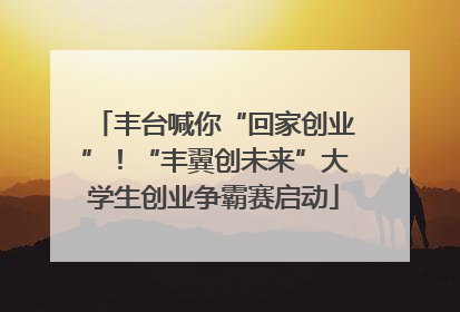 丰台喊你“回家创业”！“丰翼创未来”大学生创业争霸赛启动