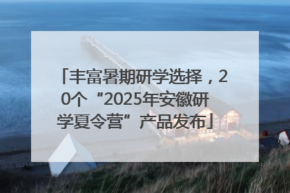 丰富暑期研学选择，20个“2025年安徽研学夏令营”产品发布