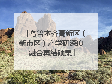 乌鲁木齐高新区（新市区）产学研深度融合再结硕果