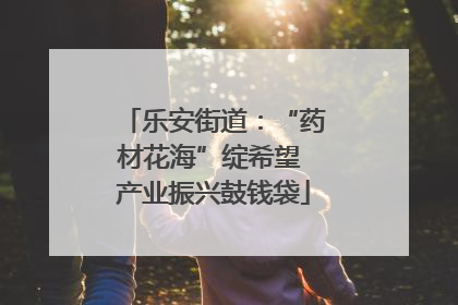 乐安街道：“药材花海”绽希望 产业振兴鼓钱袋