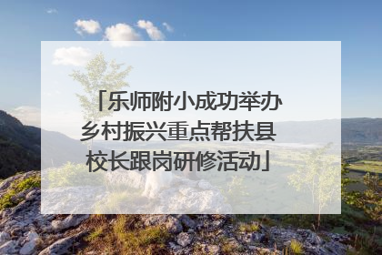 乐师附小成功举办乡村振兴重点帮扶县校长跟岗研修活动