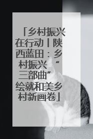 乡村振兴在行动丨陕西蓝田：乡村振兴 “三部曲” 绘就和美乡村新画卷