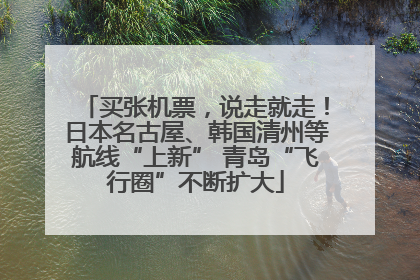 买张机票，说走就走！日本名古屋、韩国清州等航线“上新” 青岛“飞行圈”不断扩大
