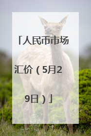 人民币市场汇价（5月29日）
