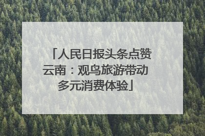 人民日报头条点赞云南：观鸟旅游带动多元消费体验