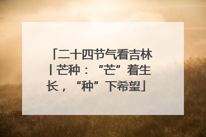 二十四节气看吉林丨芒种：“芒”着生长，“种”下希望