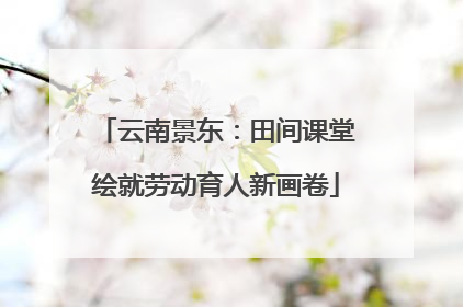 云南景东：田间课堂绘就劳动育人新画卷