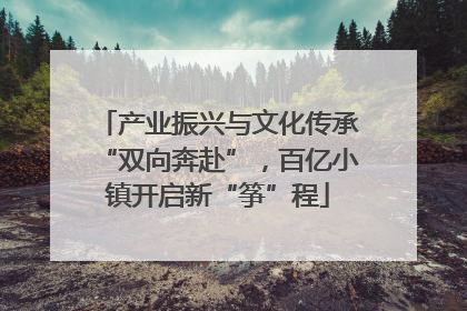产业振兴与文化传承“双向奔赴”，百亿小镇开启新“筝”程