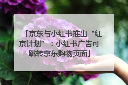 京东与小红书推出“红京计划”：小红书广告可跳转京东购物页面
