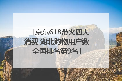 京东618带火四大消费 湖北购物用户数全国排名第9名