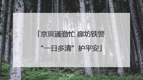 京冀通勤忙 廊坊铁警“一日多清”护平安
