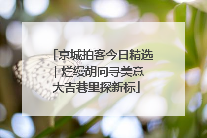 京城拍客今日精选｜烂缦胡同寻美意 大吉巷里探新标