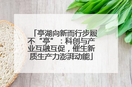 亭湖向新而行步履不“亭”：科创与产业互融互促，催生新质生产力澎湃动能