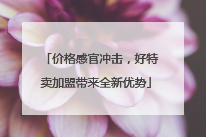 价格感官冲击，好特卖加盟带来全新优势
