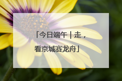 今日端午｜走，看京城赛龙舟