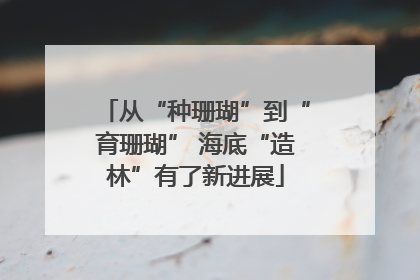 从“种珊瑚”到“育珊瑚” 海底“造林”有了新进展