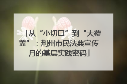 从“小切口”到“大覆盖”：荆州市民法典宣传月的基层实践密码