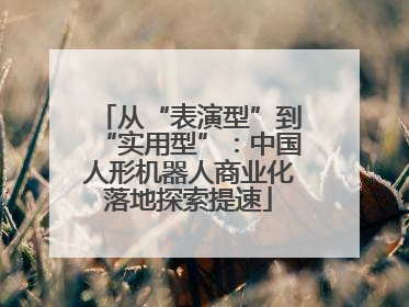 从“表演型”到“实用型”：中国人形机器人商业化落地探索提速
