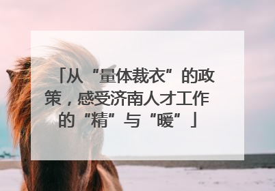 从“量体裁衣”的政策，感受济南人才工作的“精”与“暖”