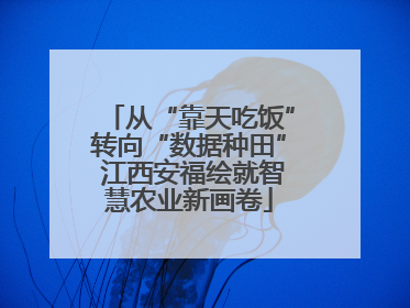 从“靠天吃饭”转向“数据种田” 江西安福绘就智慧农业新画卷