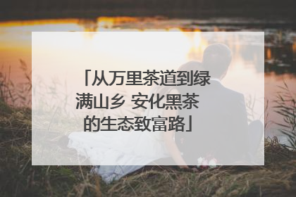 从万里茶道到绿满山乡 安化黑茶的生态致富路