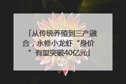 从传统养殖到三产融合，永修小龙虾“身价”有望突破40亿元