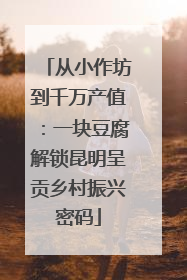 从小作坊到千万产值：一块豆腐解锁昆明呈贡乡村振兴密码