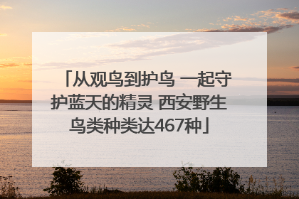 从观鸟到护鸟 一起守护蓝天的精灵 西安野生鸟类种类达467种