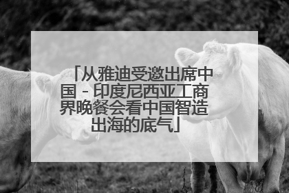从雅迪受邀出席中国－印度尼西亚工商界晚餐会看中国智造出海的底气