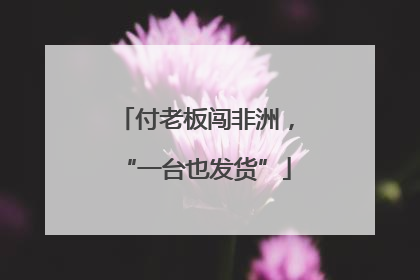 付老板闯非洲，“一台也发货”