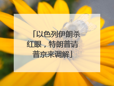 以色列伊朗杀红眼，特朗普请普京来调解