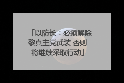 以防长：必须解除黎真主党武装 否则将继续采取行动