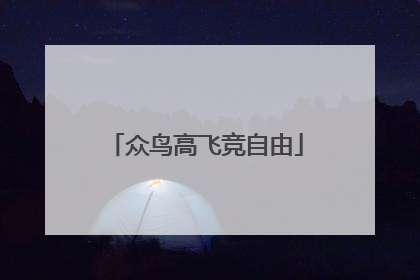 众鸟高飞竞自由