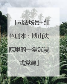 司法场景+红色剧本：博山法院里的一堂沉浸式党课