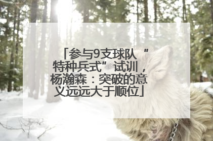 参与9支球队“特种兵式”试训，杨瀚森：突破的意义远远大于顺位