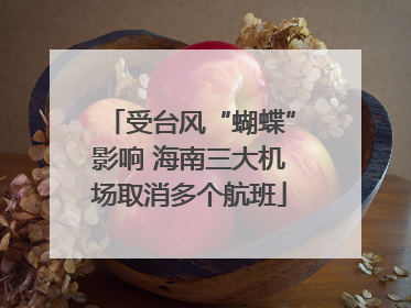 受台风“蝴蝶”影响 海南三大机场取消多个航班