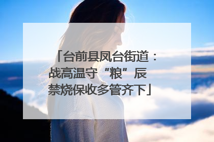 台前县凤台街道：战高温守“粮”辰 禁烧保收多管齐下