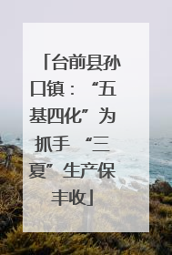台前县孙口镇：“五基四化”为抓手 “三夏”生产保丰收