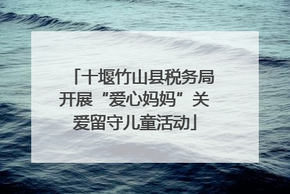 十堰竹山县税务局开展“爱心妈妈”关爱留守儿童活动