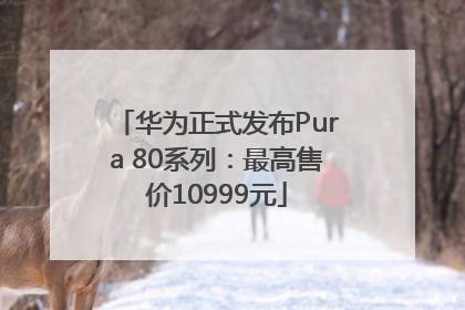华为正式发布Pura 80系列：最高售价10999元