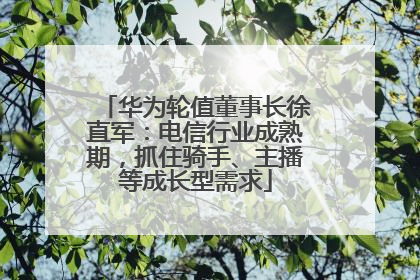 华为轮值董事长徐直军：电信行业成熟期，抓住骑手、主播等成长型需求