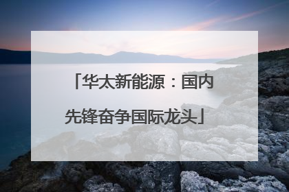华太新能源：国内先锋奋争国际龙头