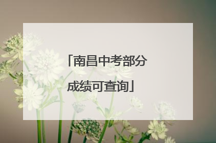 南昌中考部分成绩可查询