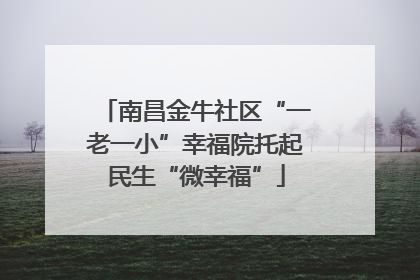 南昌金牛社区“一老一小”幸福院托起民生“微幸福”
