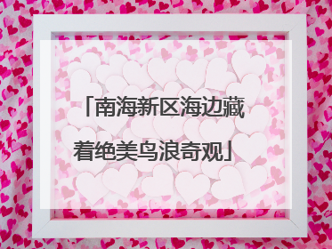 南海新区海边藏着绝美鸟浪奇观