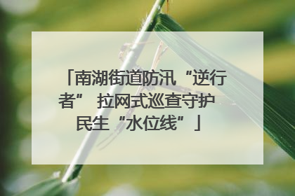 南湖街道防汛“逆行者” 拉网式巡查守护民生“水位线”